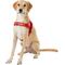 Show in main carousel: EzyDog Quick Fit Dog Harness, Red, X-Large slide 3 of 13
