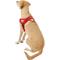 Show in main carousel: EzyDog Quick Fit Dog Harness, Red, X-Large slide 4 of 13