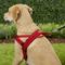 Show in main carousel: EzyDog Quick Fit Dog Harness, Red, X-Large slide 5 of 13