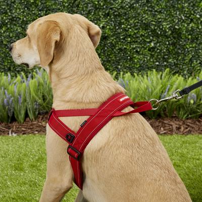 Show full view: EzyDog Quick Fit Dog Harness, Red, X-Large slide 5 of 13