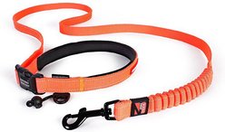 EzyDog Road Runner Dog Leash, Orange