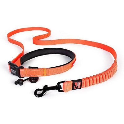 EzyDog EzyDog Road Runner Dog Leash, Orange