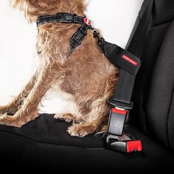 EzyDog Seat Belt Restraint, Black