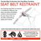 Show in main carousel: EzyDog Seat Belt Restraint, Black slide 4 of 5