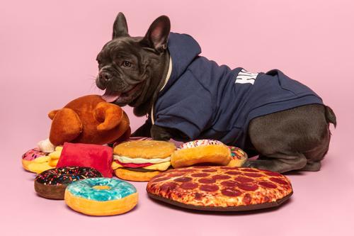 Show full view: fabdog Box of Pizzas Squeaky Stuffing-Free Plush Dog Toy slide 4 of 8