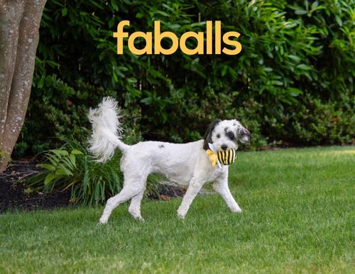 Show full view: fabdog Bumble Bee Faball Squeaky Stuffing-Free Dog Toy, Yellow, Large slide 5 of 6