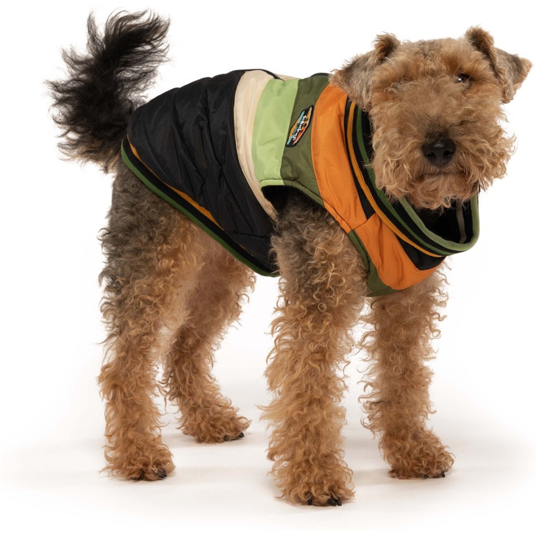 fabdog Chevron Dog Coat, Black, 10-in