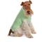 Show in main carousel: fabdog Chunky Turtleneck Solid Dog Sweater, Mint, 18-in slide 1 of 5