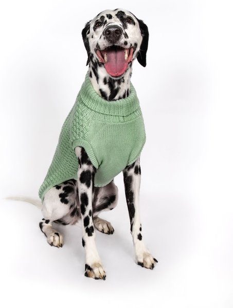 Show full view: fabdog Chunky Turtleneck Solid Dog Sweater, Mint, 18-in slide 3 of 5