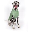 Show in main carousel: fabdog Chunky Turtleneck Solid Dog Sweater, Mint, 18-in slide 3 of 5