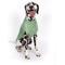 Show in main carousel: fabdog Chunky Turtleneck Solid Dog Sweater, Mint, 24-in slide 3 of 5