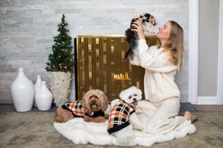 fabdog Classic Plaid Dog Sweater, 18-in slide 2 of 3