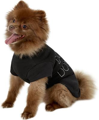 Show full view: fabdog "Dog Hair, Don't Care" Dog T-Shirt, 16-in slide 3 of 9