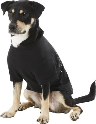 Show full view: fabdog "Dog Hair, Don't Care" Dog T-Shirt, 18-in slide 3 of 9