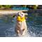 Show in main carousel: fabdog Duck Floatie Water Outdoor Plush Dog Toy slide 3 of 4