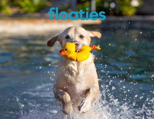 Show full view: fabdog Duck Floatie Water Outdoor Plush Dog Toy slide 3 of 4