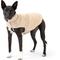 Show in main carousel: fabdog Fab Ski Leather Shearling Dog Coat, Tan, 14-in slide 1 of 3