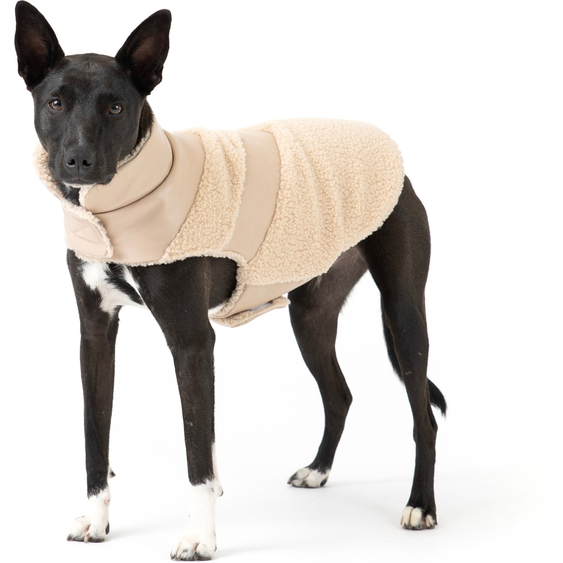 fabdog Fab Ski Leather Shearling Dog Coat, Tan, 20-in