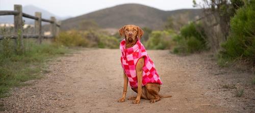 Show full view: fabdog Fab Ski Sherpa Dog Vest, Pink, 22-in slide 4 of 5