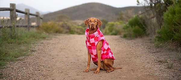 fabdog Fab Ski Sherpa Dog Vest