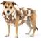 Show in main carousel: fabdog Fab Ski Sherpa Dog Vest, Tan, 12-in slide 1 of 4