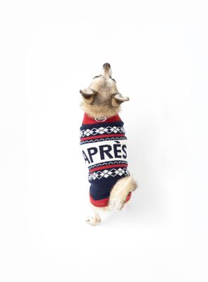 Show full view: fabdog Graphic Apres Dog Sweater, Navy, 20-in slide 5 of 6