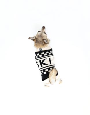 Show full view: fabdog Graphic Mini Check Dog Sweater, Black, 22-in slide 4 of 4