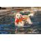 Show in main carousel: fabdog Lobster Floatie Water Outdoor Plush Dog Toy slide 3 of 5