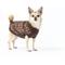 Show in main carousel: fabdog Monogram Graphic Dog Sweater, Brown, 22-in slide 1 of 3