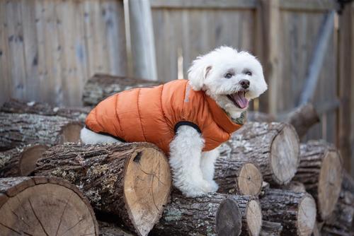 Show full view: fabdog Pack N' Go Reversible Solid Dog Puffer Coat, Olive/Orange, 10-in slide 3 of 4