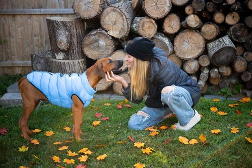 Show full view: fabdog Pack N' Go Reversible Solid Dog Puffer Coat, Powder Blue/Black, 10-in slide 4 of 5