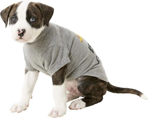 Show full view: fabdog "Pizza Is My Cardio" Dog & Cat T-Shirt, 12-in slide 5 of 8