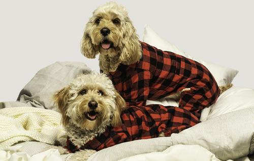 Show full view: fabdog Christmas Plaid Flannel Dog Pajamas, Buffalo Check, 32-in slide 2 of 2