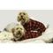 Show in main carousel: fabdog Christmas Plaid Flannel Dog Pajamas, Buffalo Check, 36-in slide 2 of 2