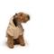 Show in main carousel: fabdog Sherpa Solid Dog Hoodie, Cream, 22-in slide 4 of 5
