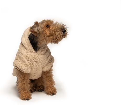 Show full view: fabdog Sherpa Solid Dog Hoodie, Cream, 22-in slide 4 of 5