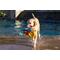 Show in main carousel: fabdog Squid Floatie Water Outdoor Plush Dog Toy slide 4 of 5