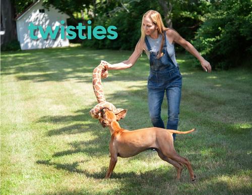 Show full view: fabdog Twisty Giraffe Squeaky Plush Dog Toy, 5-ft slide 5 of 6