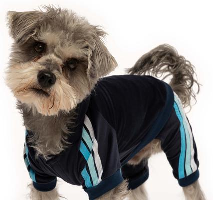Show full view: fabdog Velour Jogger Stripes Dog Sweater, Navy, 16-in slide 3 of 5