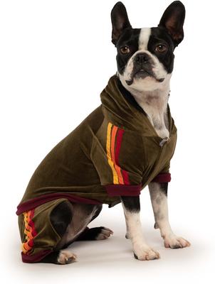 Show full view: fabdog Velour Jogger Stripes Dog Sweater, Olive, 16-in slide 4 of 5