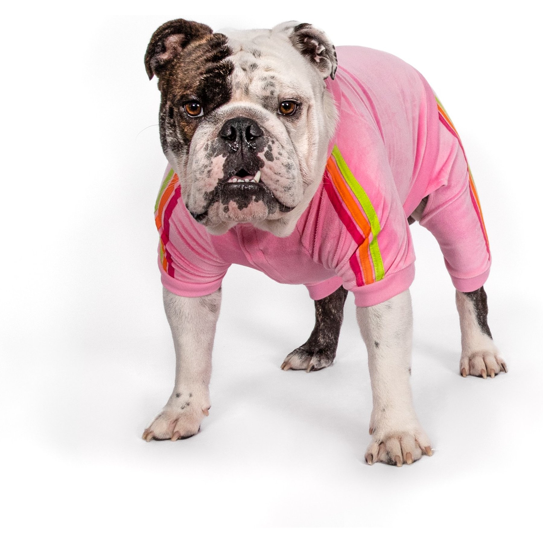 fabdog Velour Jogger Stripes Dog Sweater, Pink, 12-in