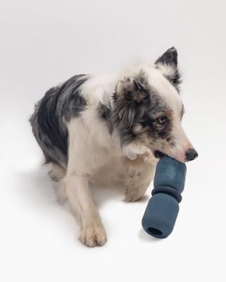 Show full view: Fable Pets Armadillo Tough Treat Dispenser Dog & Cat Toy, Navy, Large slide 6 of 8