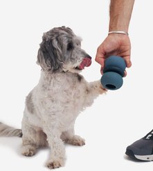 Fable Pets Armadillo Tough Treat Dispenser Dog & Cat Toy, Navy, Small slide 2 of 7