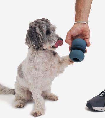 Show full view: Fable Pets Armadillo Tough Treat Dispenser Dog & Cat Toy, Navy, Small slide 4 of 7