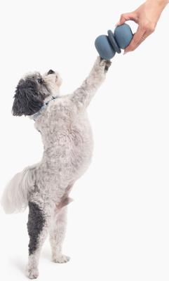 Show full view: Fable Pets Armadillo Tough Treat Dispenser Dog & Cat Toy, Navy, Small slide 5 of 7