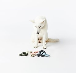 Fable Pets Falcon Dog Toy, Light Blue slide 2 of 3