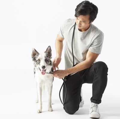 Fable Pets Magic Hands-Free Dog Leash