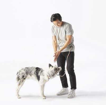 Show full view: Fable Pets Magic Hands-Free Dog Leash, Blush, Small/Medium slide 3 of 4