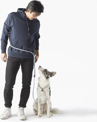 Show full view: Fable Pets Magic Link Hands-Free Dog Leash, Light Blue, Small/Medium slide 5 of 5