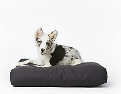 Fable Pets Memory Foam Cat & Dog Bed, Dark Shadow, Medium slide 2 of 4